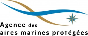 Logo_Agence_quadri