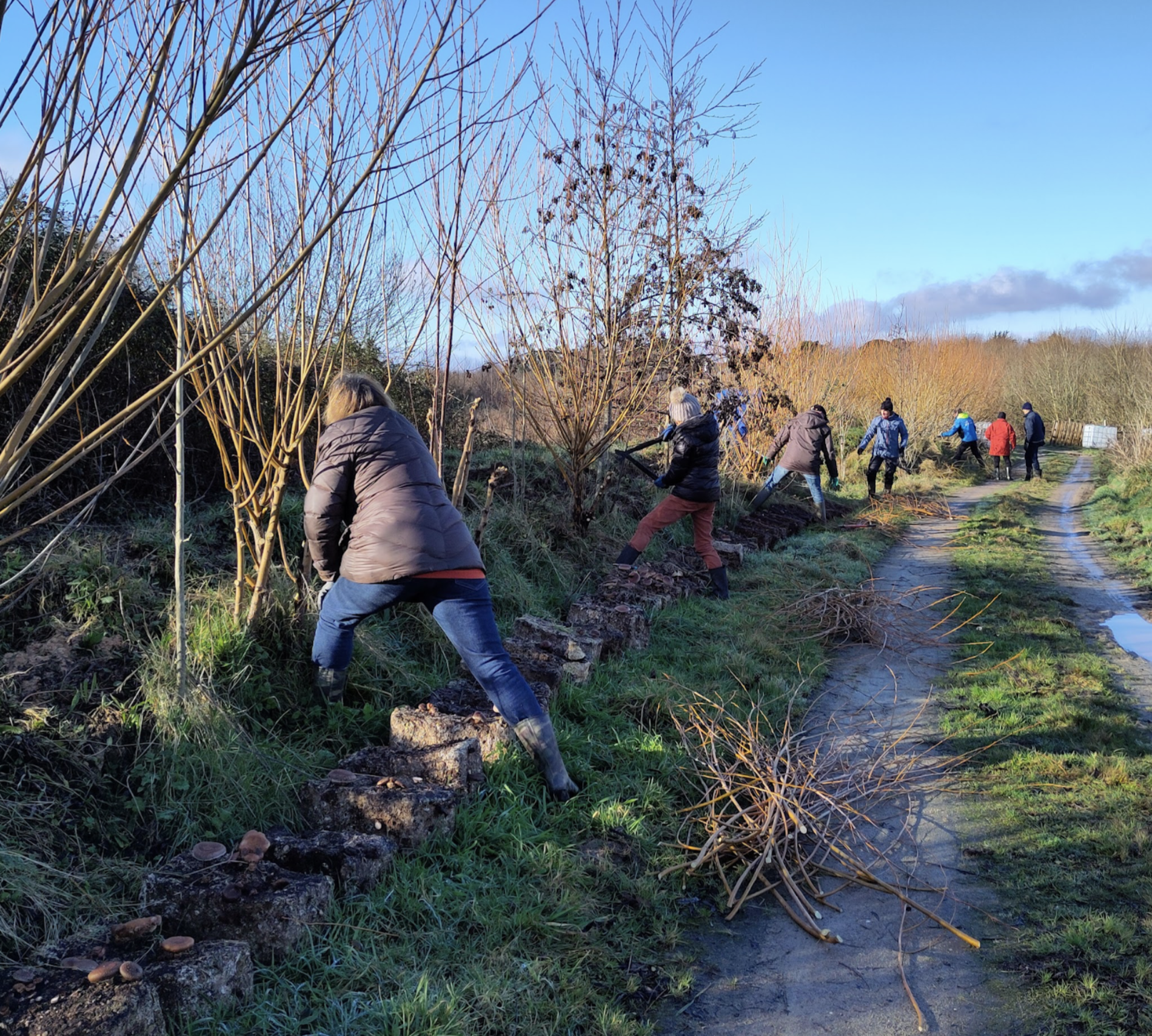 Programme de plantation haies bocagères 2025: c’est parti !