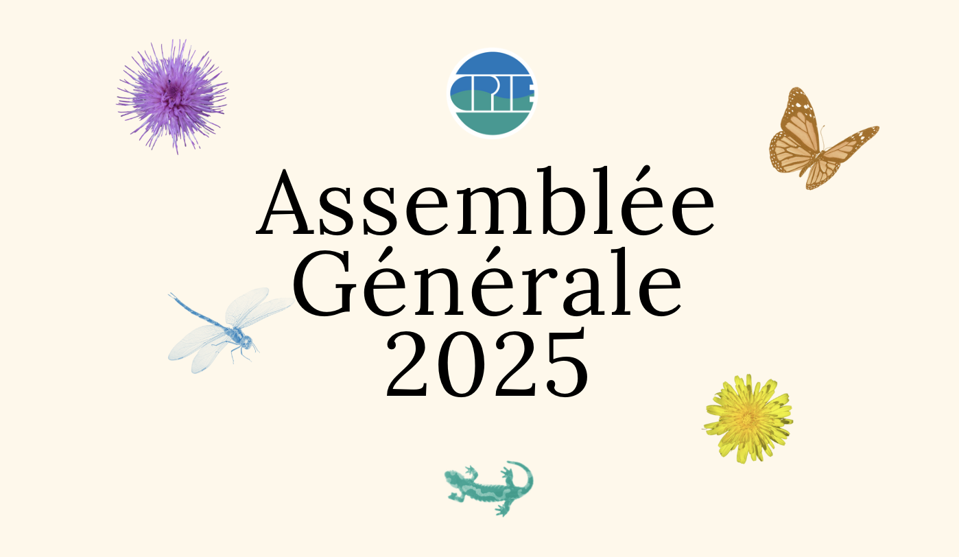 Participez à l’avenir du CPIE lors de nos Assemblées Générales !