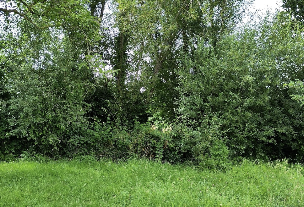 Appel à candidature – plantation de haie champêtre : dernières semaines pour vous inscrire !
