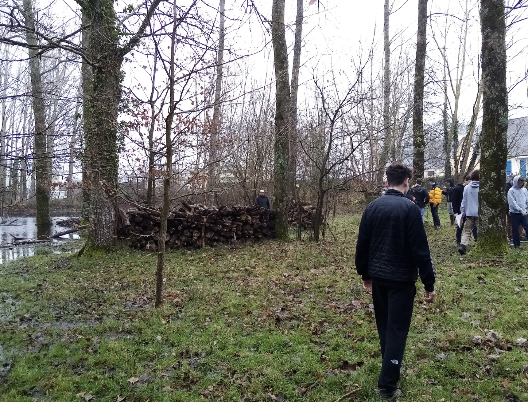 La commune de Guérande se dote d’une charte de l’arbre