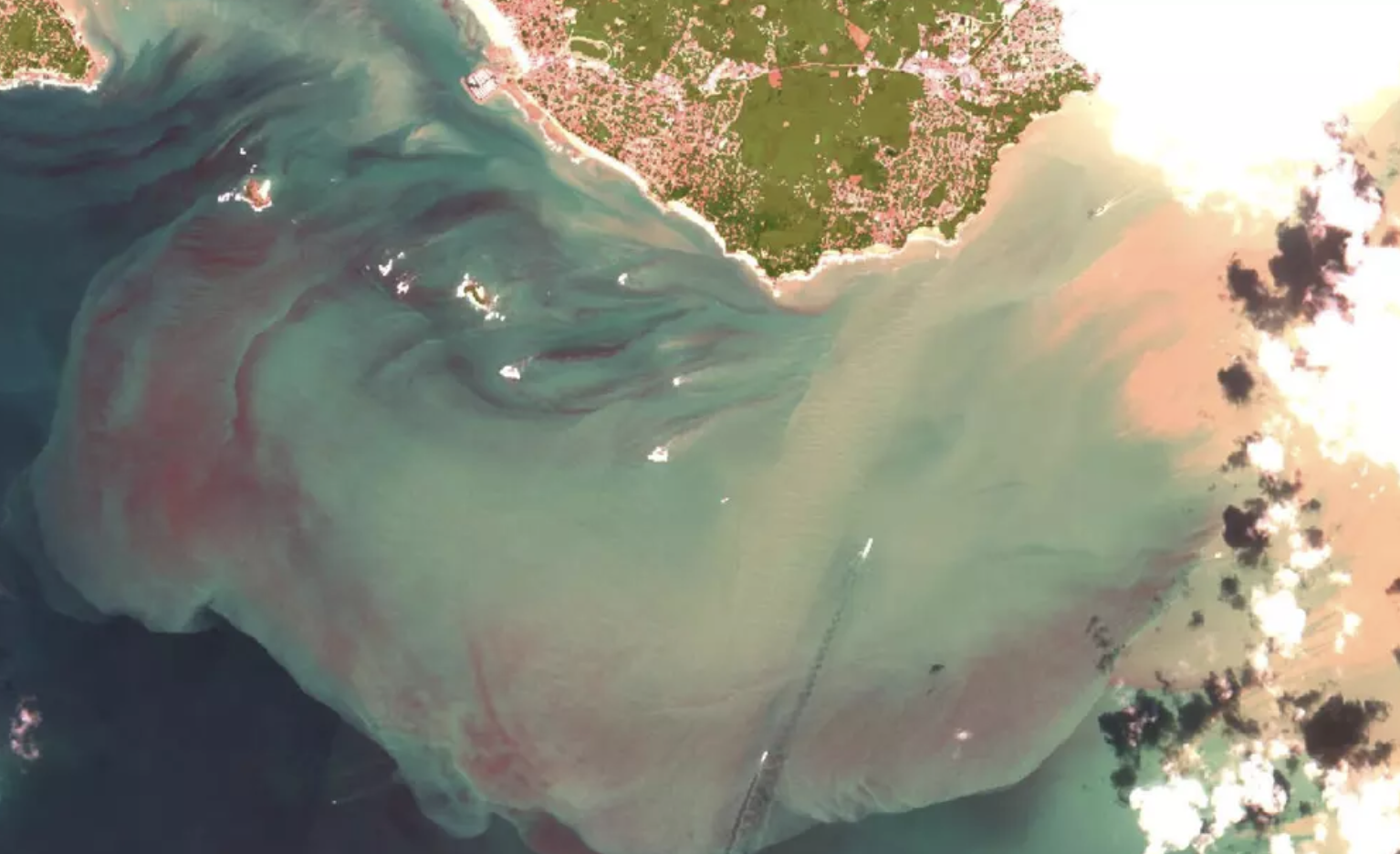 Vous observez un phénomène d’eau colorée sur le littoral ? La science à besoin de vous !
