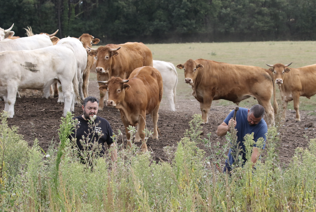 Avec passeurs de terres, achetez des terres pour préserver la ferme du bois de boulle à La Turballe