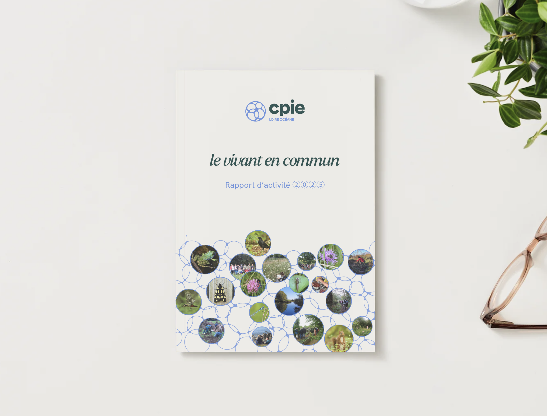 Découvrez notre Rapport d’Activité 2025