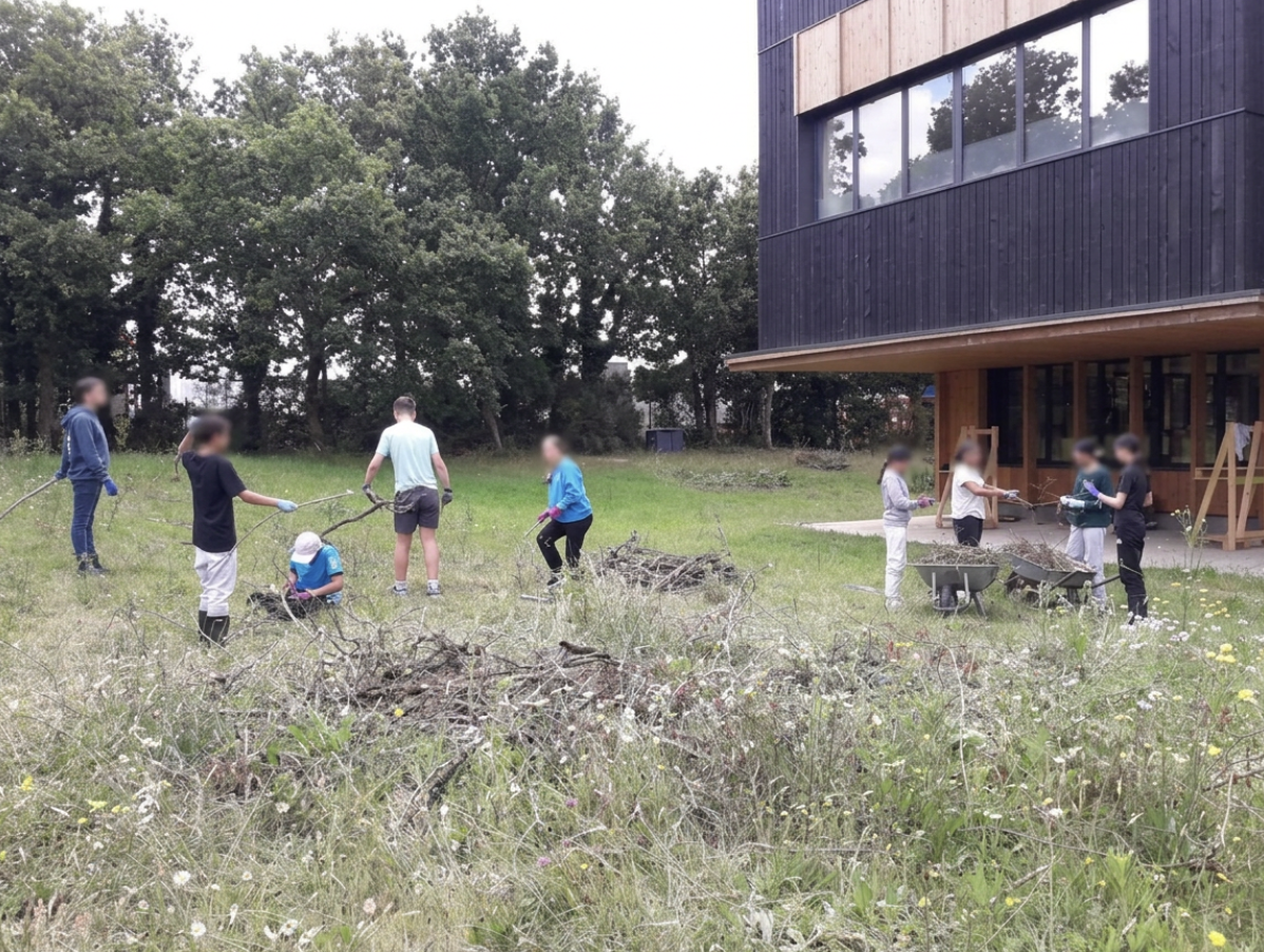 Construction d’une haie sèche au collège Frida Kahlo