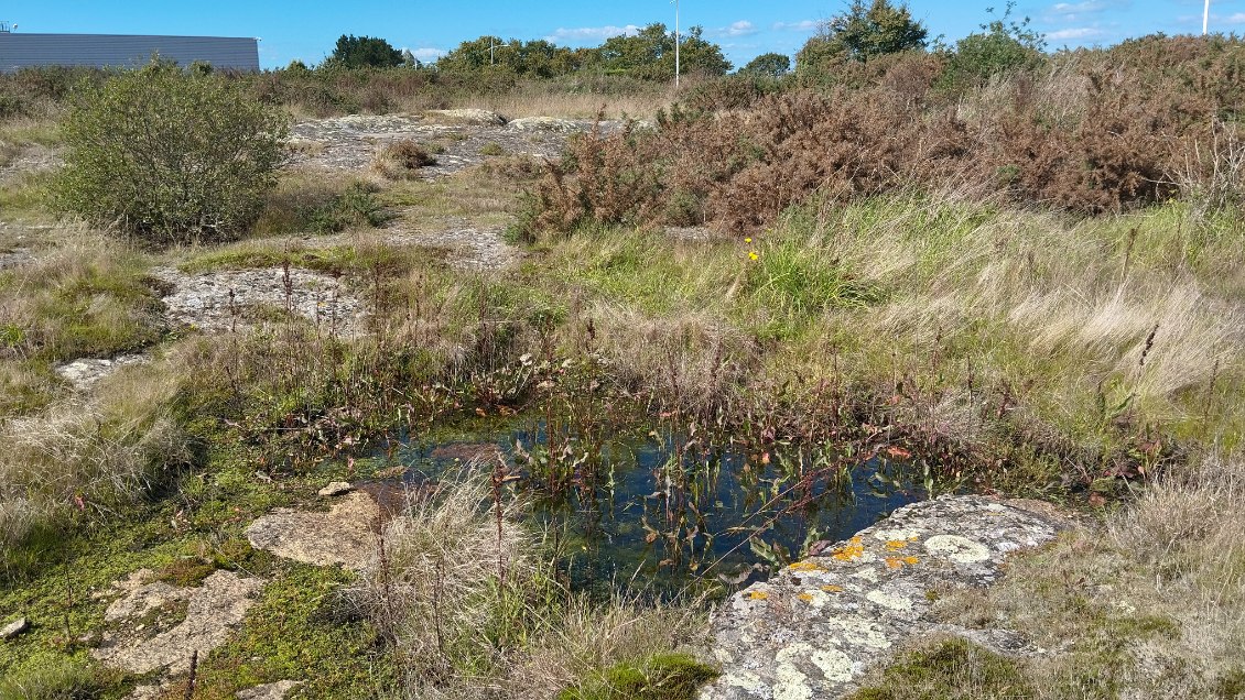 Rejoignez le chantier participatif de Villejames !