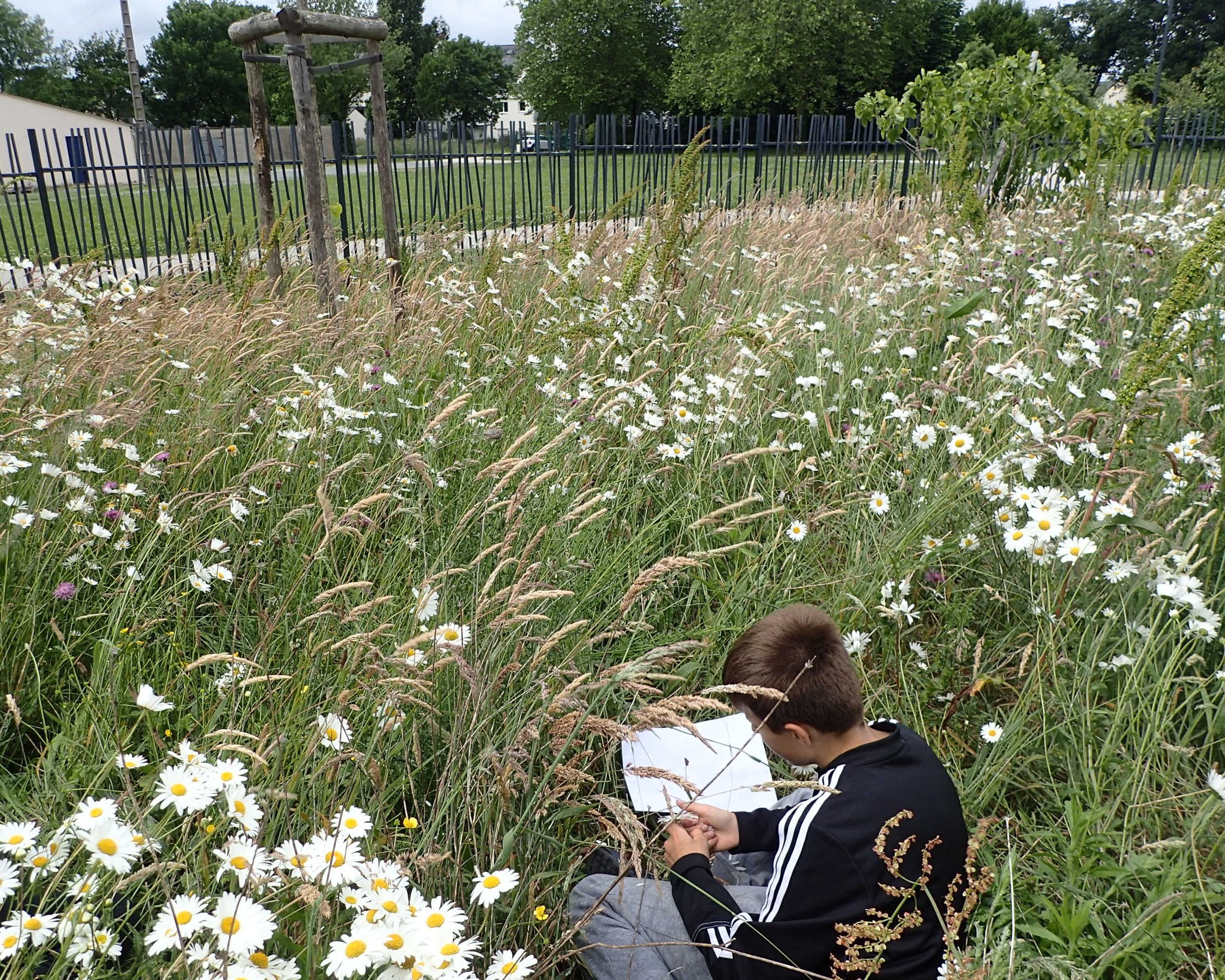 Lancement du défi biodiversité au collège Frida Kahlo à Pontchâteau